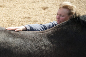 Picture of Sue massaging a black horse's back