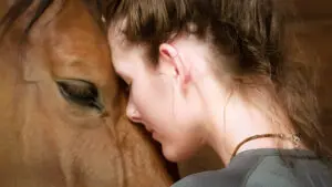 Watch the award winning film at www.24HorseBehaviors.org.