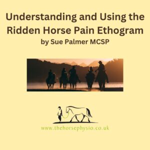 Understanding and Using the Ridden Horse Pain Ethogram