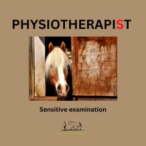 Why does my horse need physio? Sensitive examination.