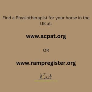 Find a physio in the UK at www.acpat.org or www.rampregister.org.