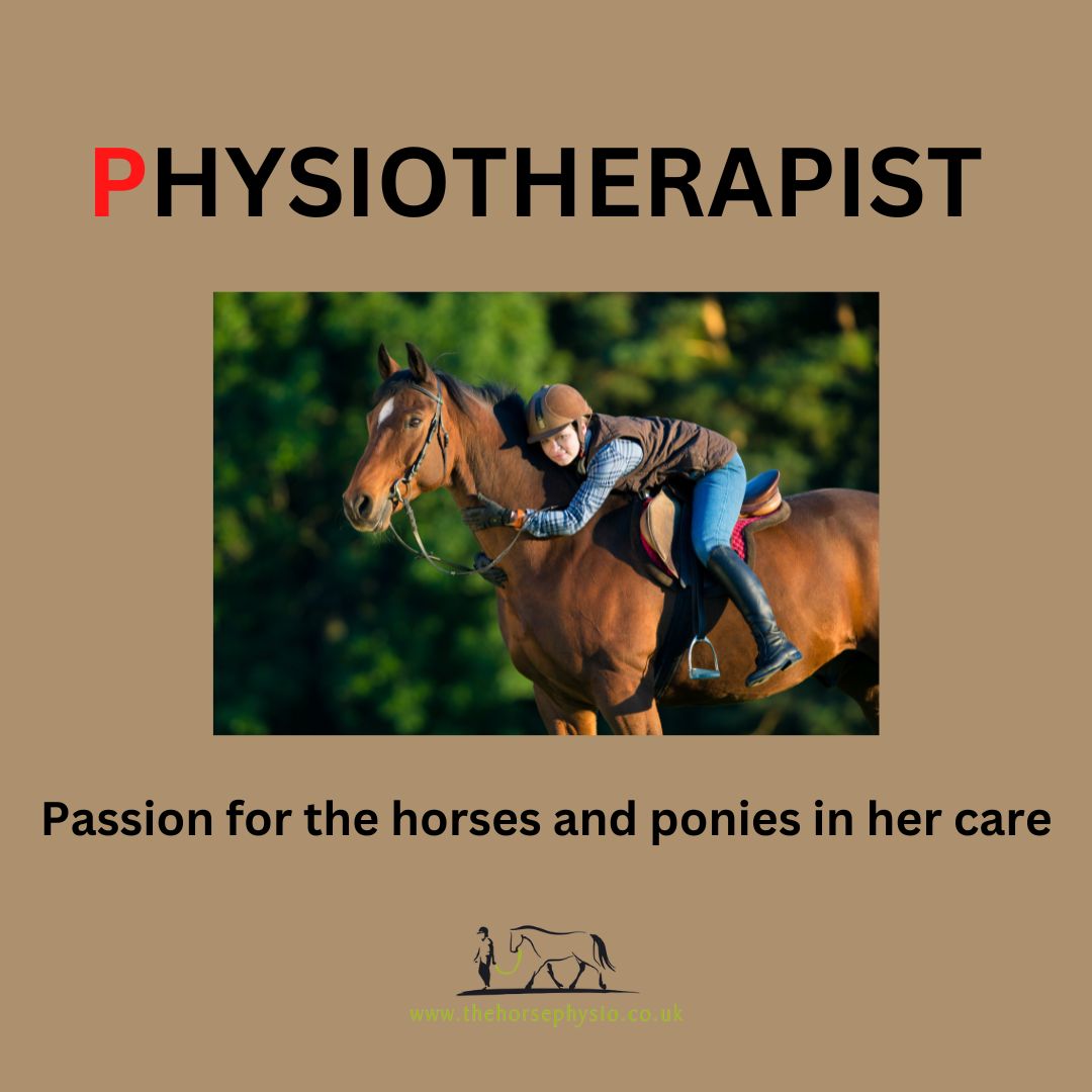 Why does my horse need physio? The Horse Physio Sue Palmer