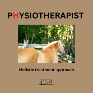 Why does my horse need physio? Holistic treatment approach.