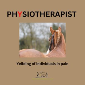 Why does my horse need physio? Yielding of individuals in pain.