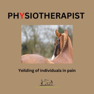 Why does my horse need physio? Yielding of individuals in pain.