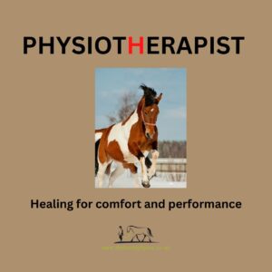 Why does my horse need physio? Healing for comfort and performance.