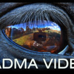 Padma Video