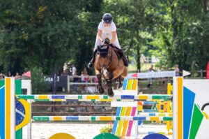 Competition horse show jumping