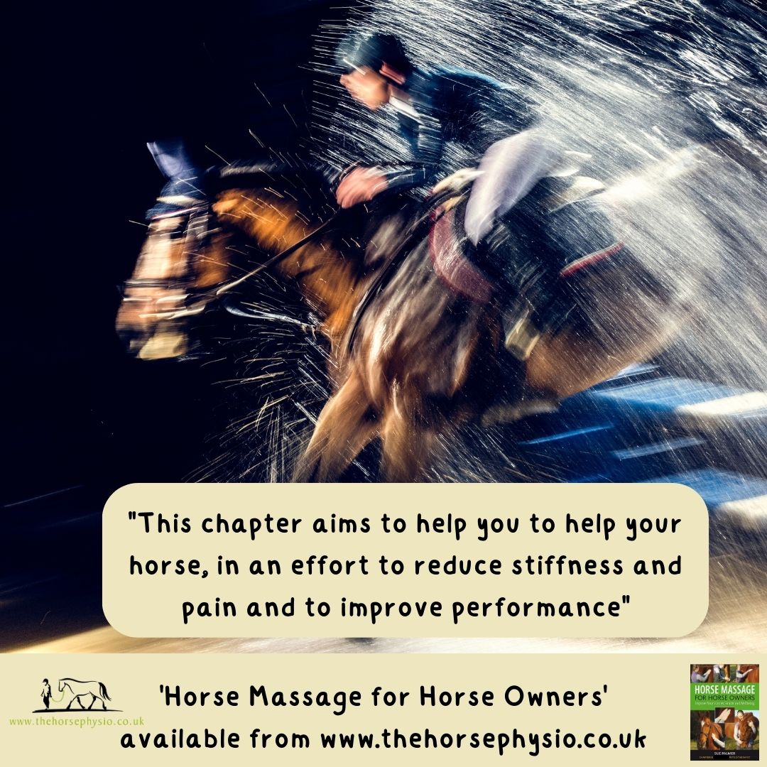 How To Massage (Your Horse) Introduction The Horse Physio Sue Palmer