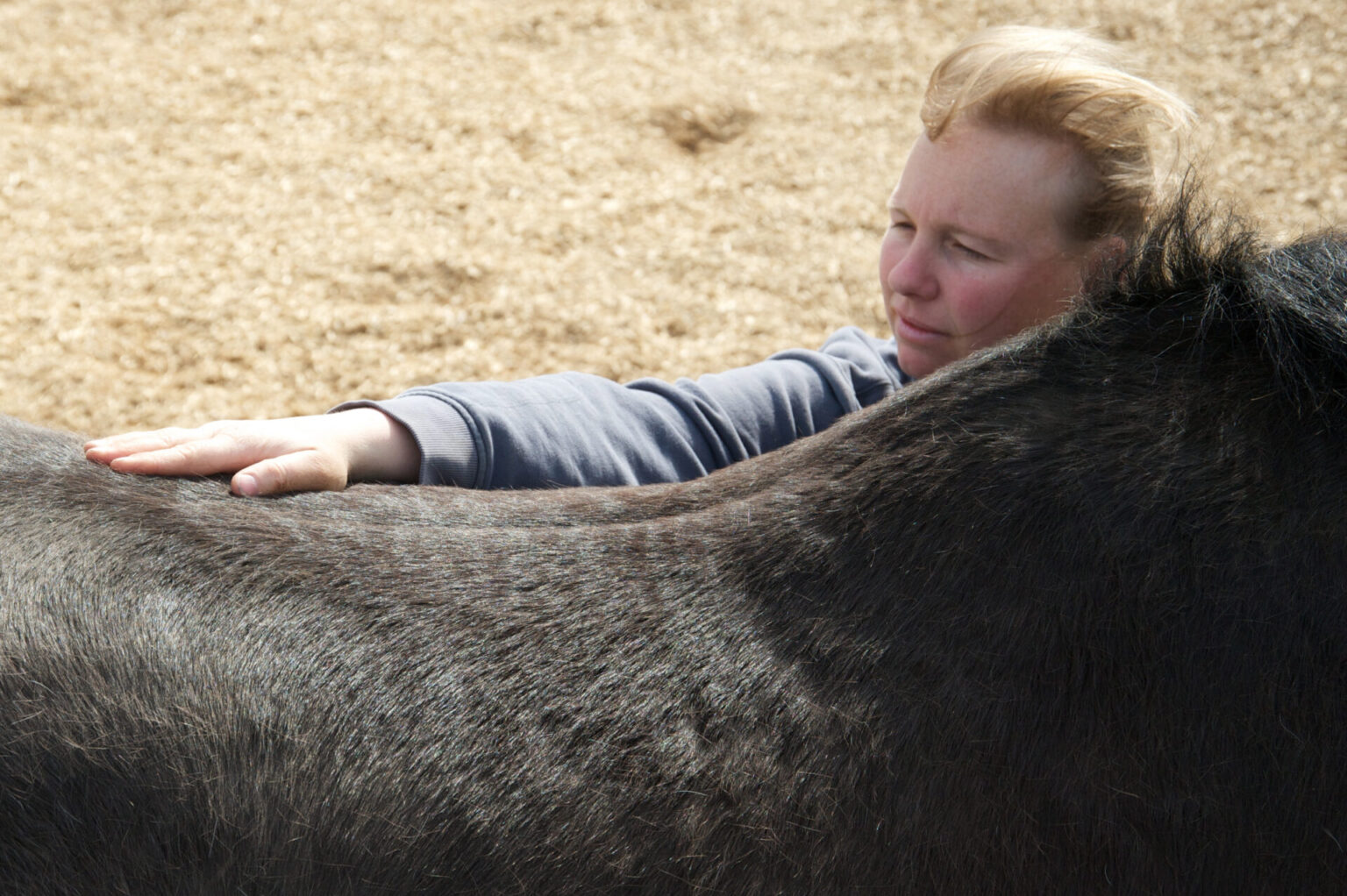How To Massage (Your Horse) Effleurage The Horse Physio Sue Palmer