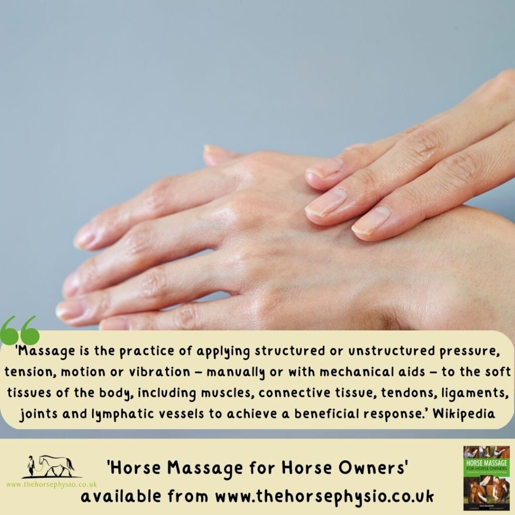 How To Massage (Your Horse) What Is Massage? The Horse Physio Sue