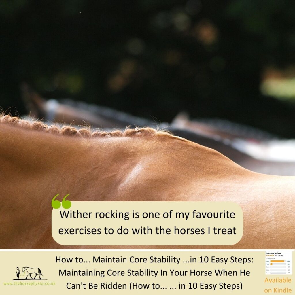 Core stability and strength exercises for the nonridden horse