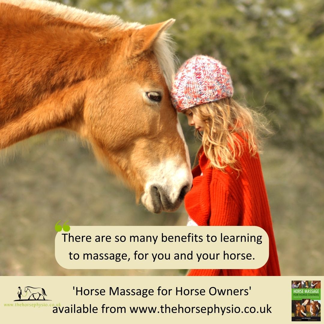 Get your hands on our handson massage course! The Horse Physio Sue