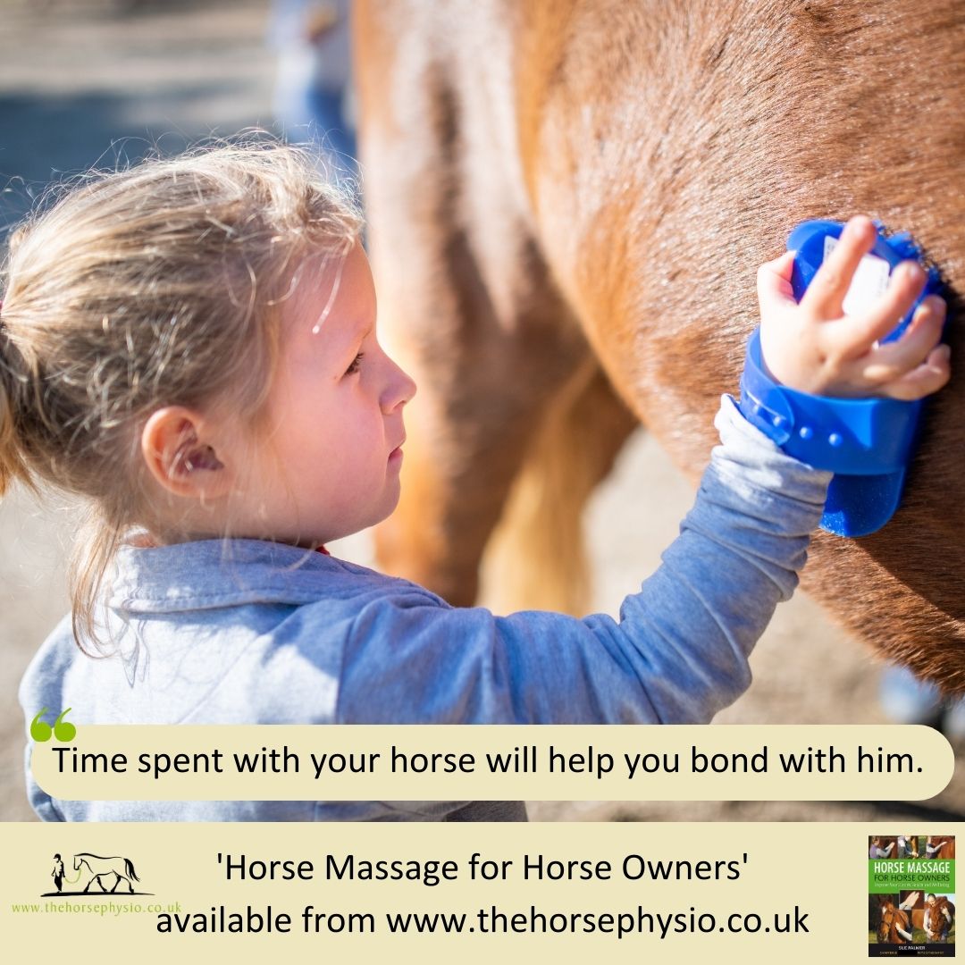 Get your hands on our handson massage course! The Horse Physio Sue