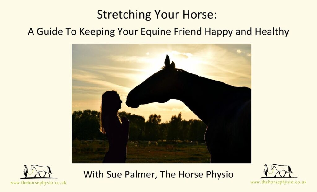 Stretching Your Horse online course