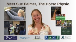 Meet Sue Palmer, The Horse Physio