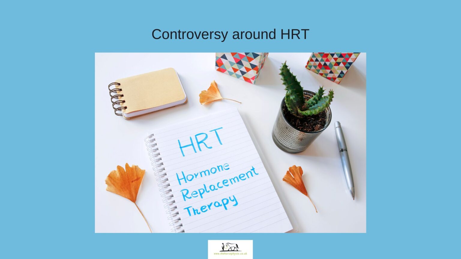 10.10.24 Behind the Scenes with Sue Palmer, The Horse Physio The